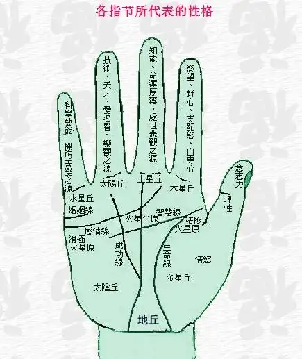 如何看掌纹   1)生命线:   生命纹--从大拇指与食指中间的掌边开始,往