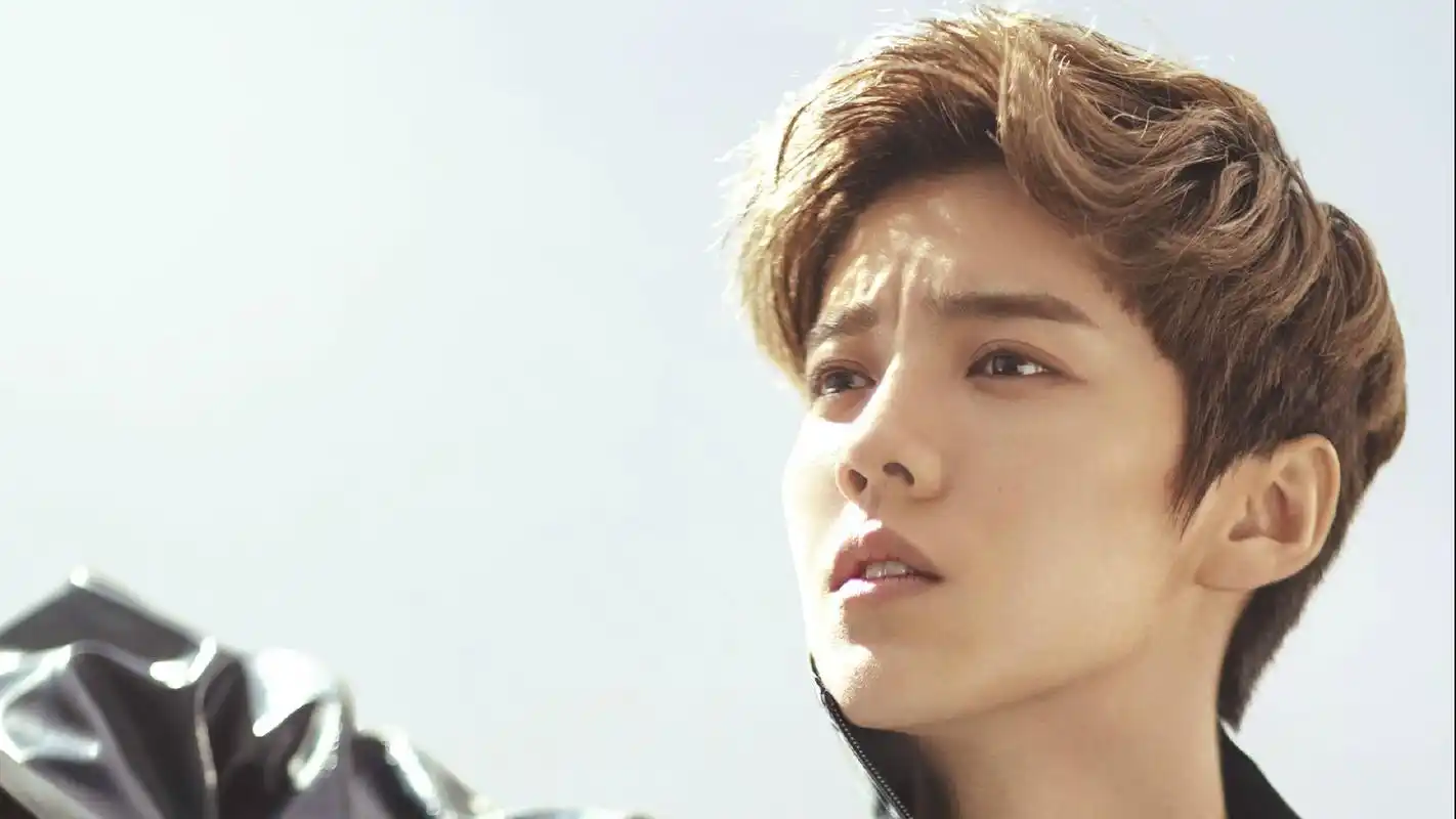 阳光小鲜肉鹿晗帅气写真桌面壁纸