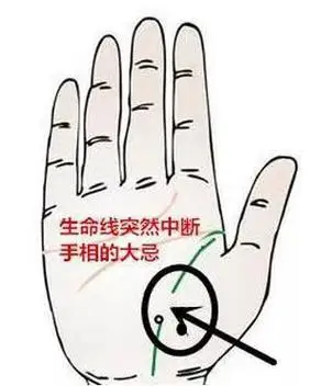 生命线短寿命就短吗什么样的手相寿运不好手纹生命线短浅怎么办