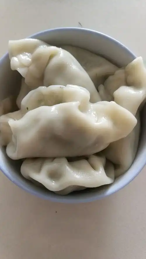 我包的饺子真好吃
