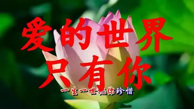 祁隆乐凡爱的世界只有你