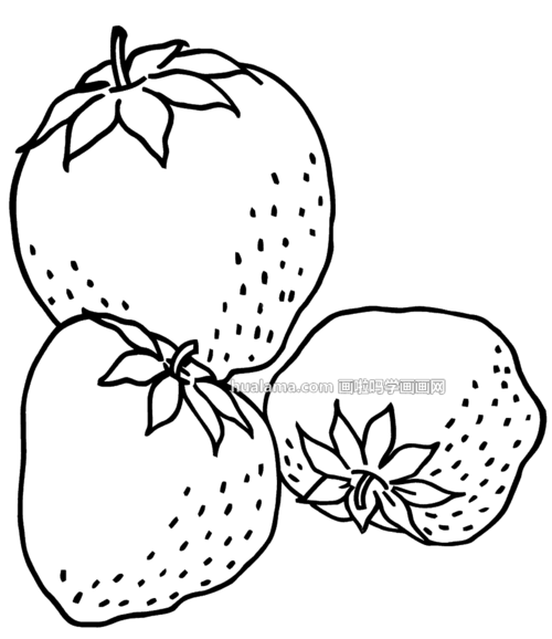 十款黑白线描草莓简笔画图片 - 水果 - 画啦吗 一个零基础免费学画画