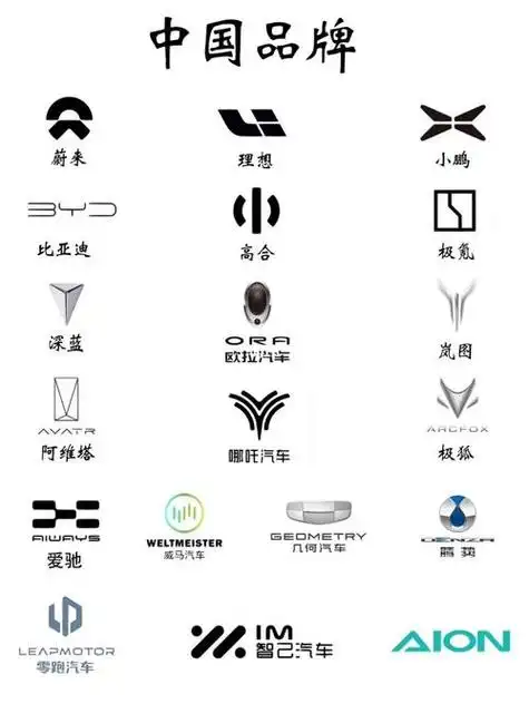 新能源汽车名品牌