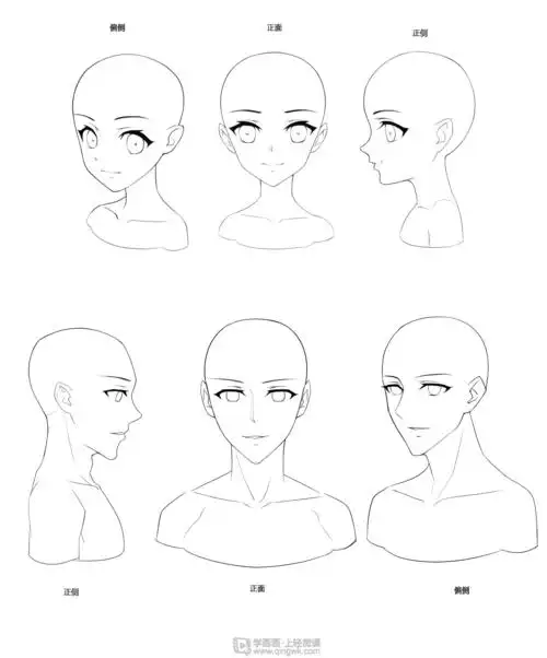 基础头部转向练习—人物基础头部结构提升