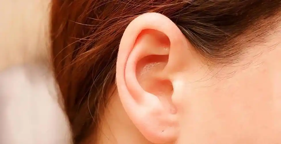 耳朵不同命不同?"穷人耳""富人耳"有啥区别?