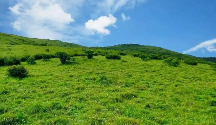 秦岭十二印象丨分水岭高山草甸10月11日丨东佛沟穿越东坪沟尽览秦岭