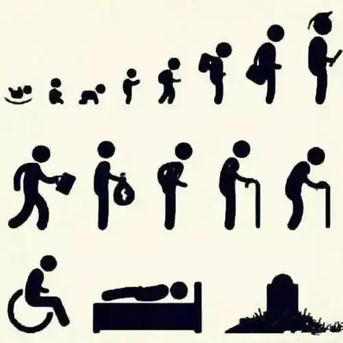 干细胞疗法可以改善衰老引起的疾病