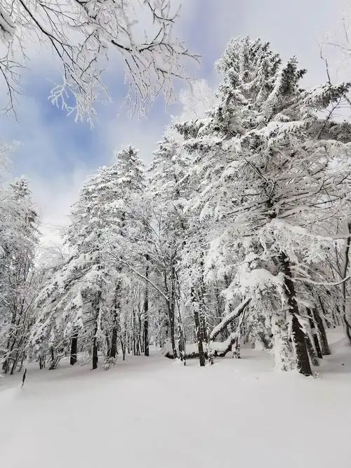 长白山脚下最美的雪景 ～ 老里克湖