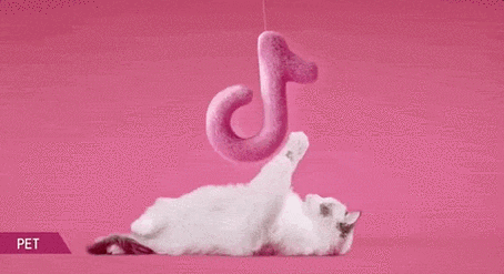 抖音怎么设置动态壁纸(抖音怎么设置动态壁纸有声音)