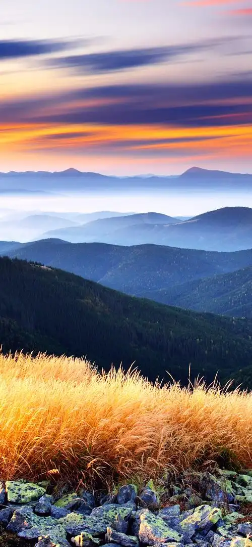 大自然风景竖屏壁纸高清