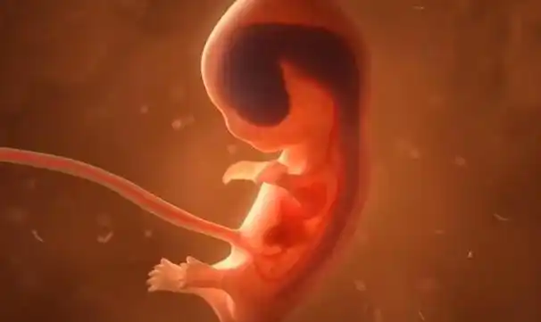 胎动最早几周出现?翻滚,拳打脚踢,7-40周胎动感受表,对号入座