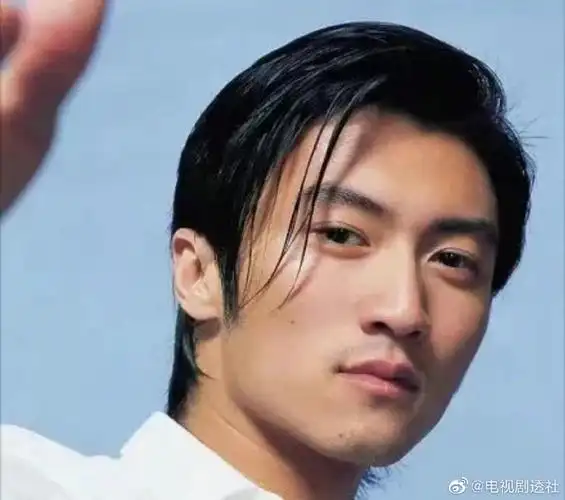 谢霆锋有多帅##谢霆锋少年感