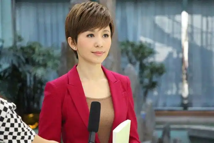 欧阳夏丹胡蝶谢颖颖康辉 央视主持人西装照大盘点