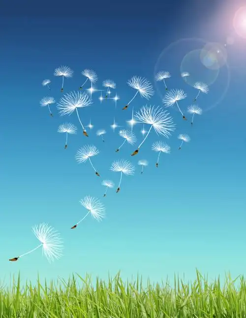 爱的传播背景素材