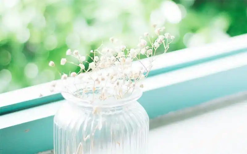 漂亮的满天星高清桌面壁纸