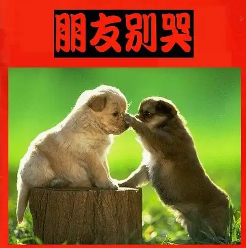 【原创】朋友别哭 在黑夜里