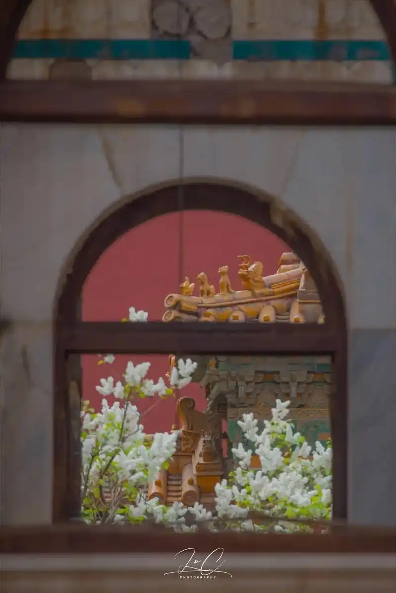 故宫丁香季延禧宫