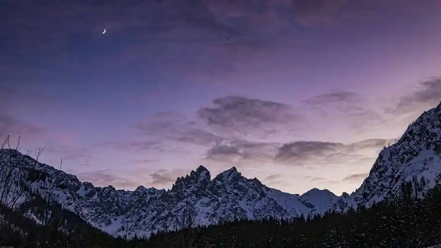 神仙颜值哈佛录取在这个神奇的春天