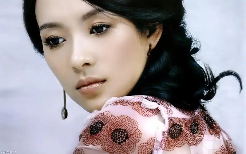 章子怡精美壁纸_一个知性小女人_明星图片_