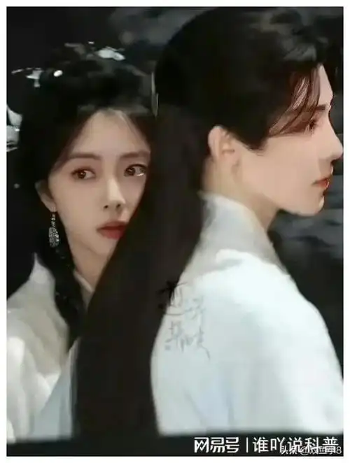 杨紫,肖战,王一博,易烊千玺成毅,赵丽颖,杨幂,龚俊,宋轶等