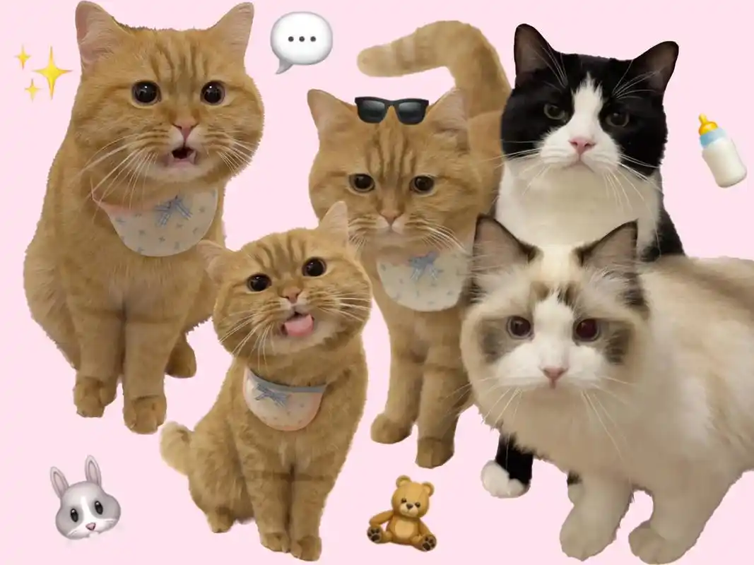 显眼包三小只的横屏ipad壁纸!自己存哇!新鲜的999999 - 抖音