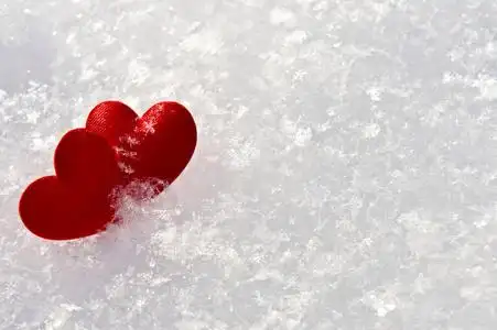 可爱的鸟类与红色的心在树中,向量组快乐圣诞斯堪的纳维亚风格北欧