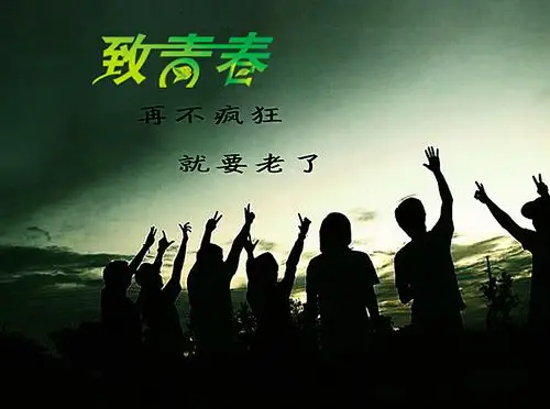 致我们逝去的青春海报图片