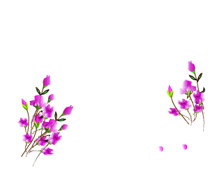 【gif抠图】透明花草素材2