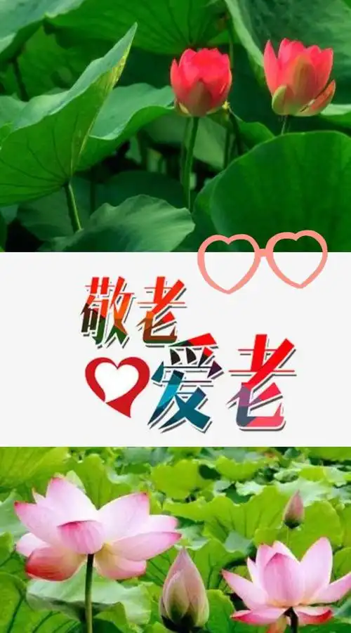 清纯莲花 20200817 写美篇儿歌舞蹈认写字,爷奶陪伴不离身!