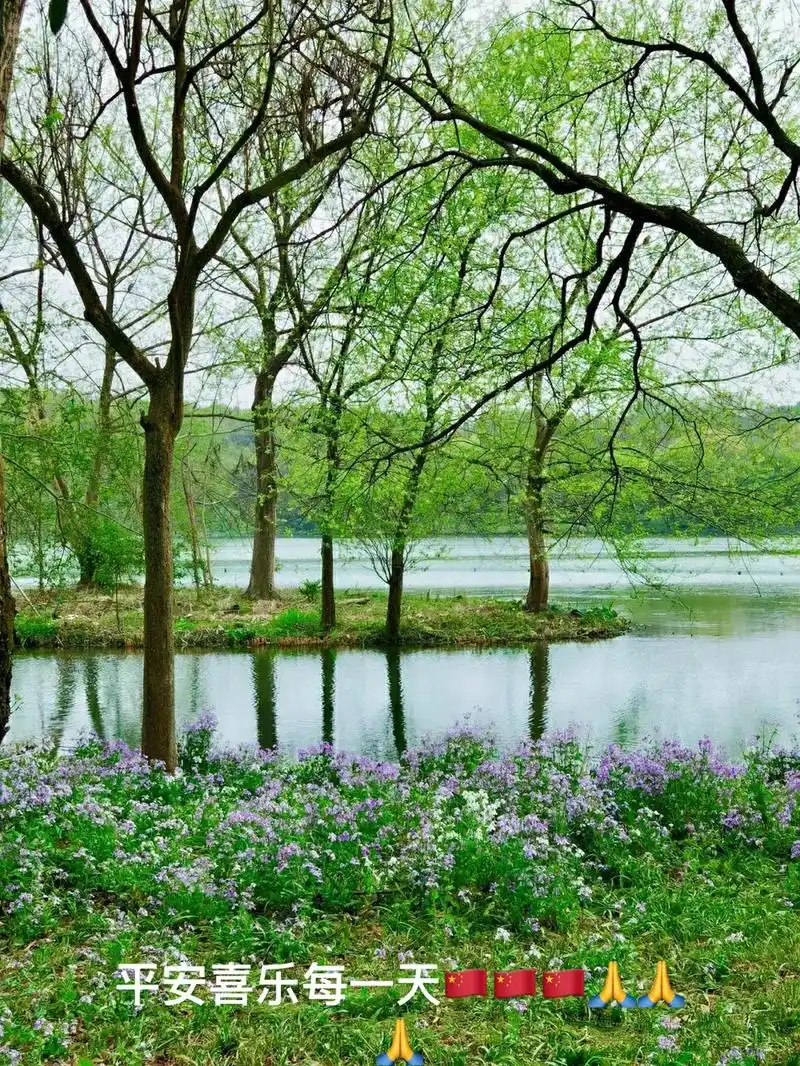 最美的春天大自然的美春已至花已开愿山河无恙人间皆安感受春的气