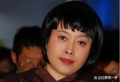 赵宝刚:丁嘉丽为孙红雷"求戏",向我"下跪"?你们别"闹"了