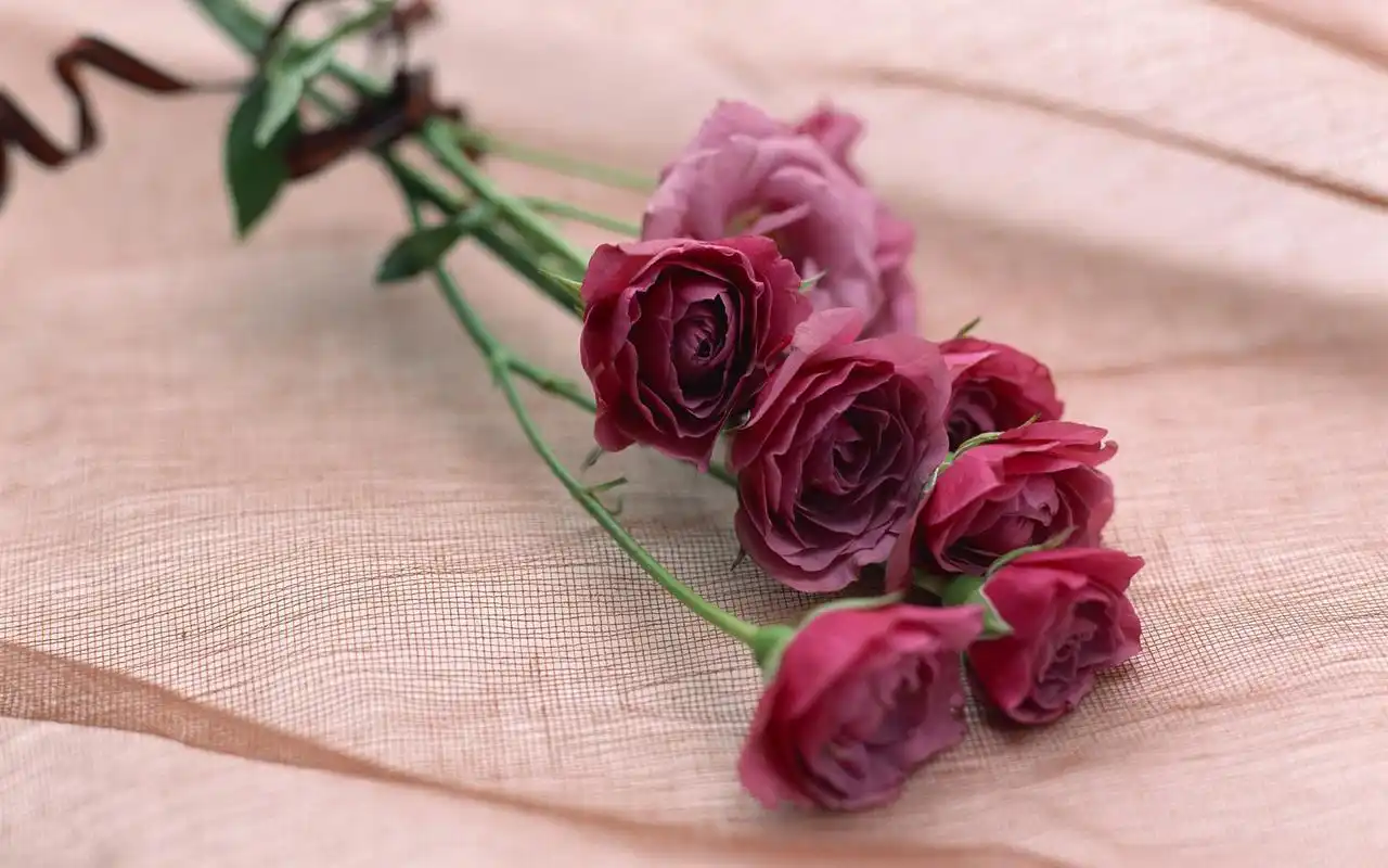 唯美清新七夕节鲜花装饰壁纸_风格壁纸_壁纸下载_美桌网