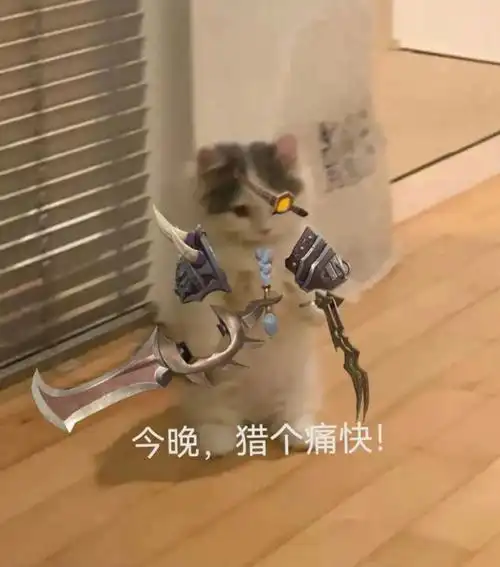 英雄联盟猫猫表情包(第四期)