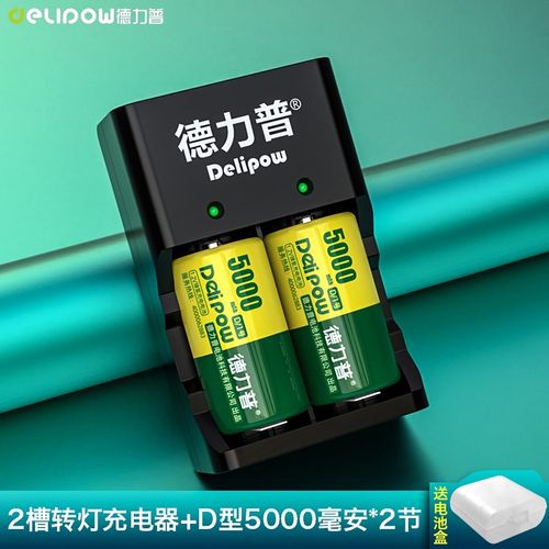 德力普(delipow) 充电电池 1号/d型大容量5000毫安电池套装配充电器