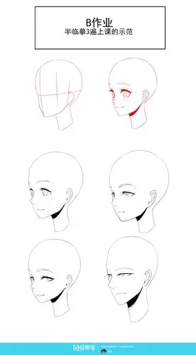 半侧面75的五官位置和画法