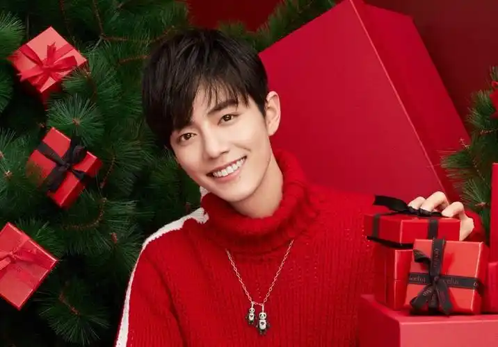 肖战 广告代言 - 堆糖,美图壁纸兴趣社区