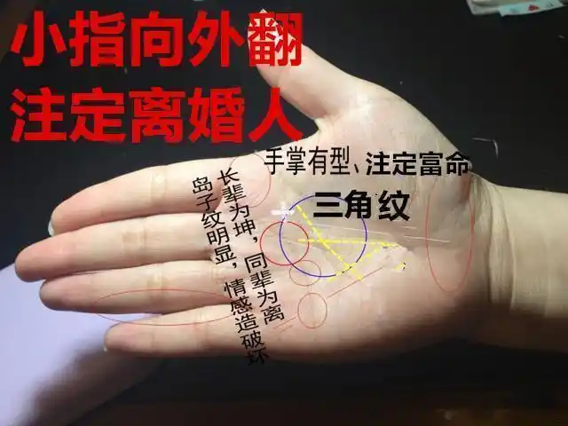 元宝在手富贵必有,岛纹一出婚姻难长,得财失婚之手相_感情线