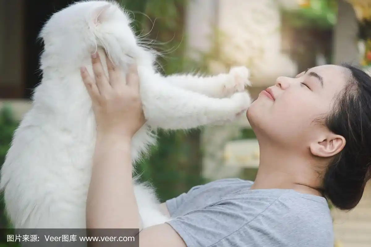 亚洲美丽的女人抱着白色的波斯猫长头发自然模糊的背景为生活方式在家