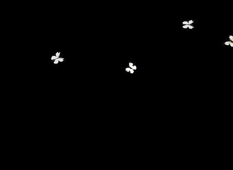 动态gif粒子素材 - 晶晶 - ‰晶晶∫★的博客