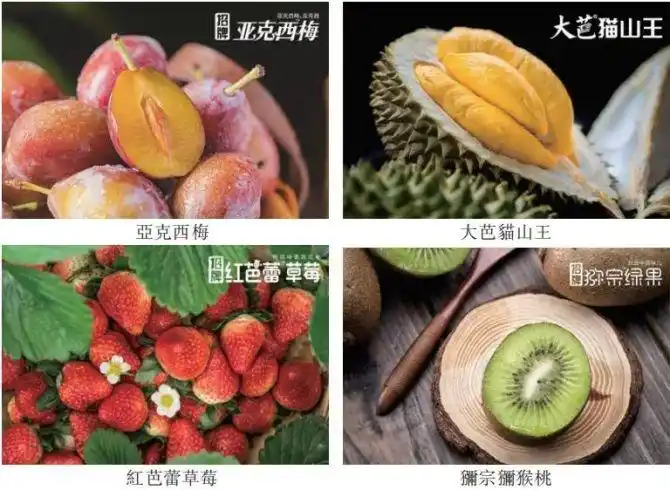 百果园vs洪九果品谁是中国水果之王