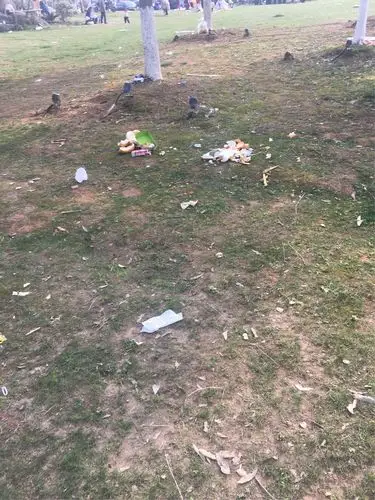 满地的瓜皮果壳纸屑,乱扔乱抛,现场简直惨不忍睹,触目惊心,美丽刁大