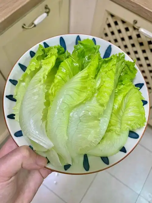 挑战外婆教我的365道家常菜73第17道