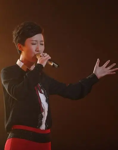 好声音汪峰组张恒远夺冠 实力孟楠惜败_百科ta说