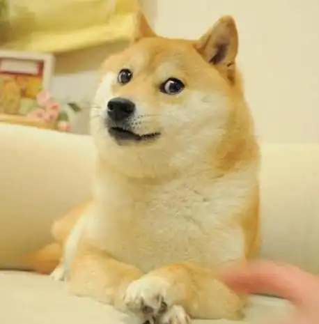 >由于各路网友对这只doge的喜爱,纷纷创作了各种各样的神烦狗表情包