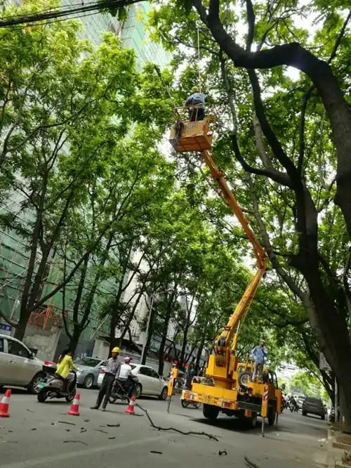 园林工人修剪行道树