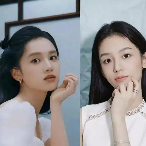 长得神似的13对明星能分辨出3对算你眼神好真没血缘关系吗