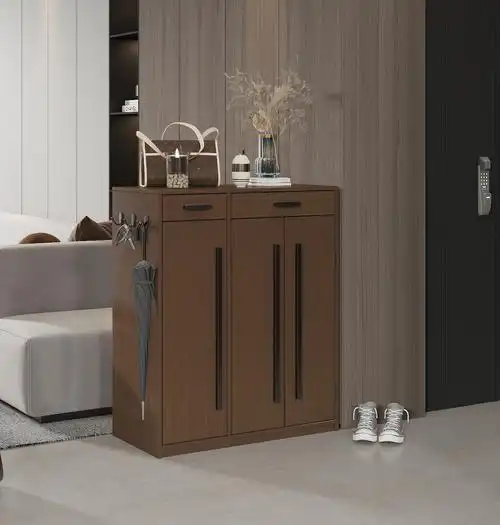 一款多功能鞋柜