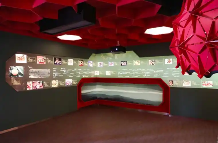 增城"馆"够!周末走起