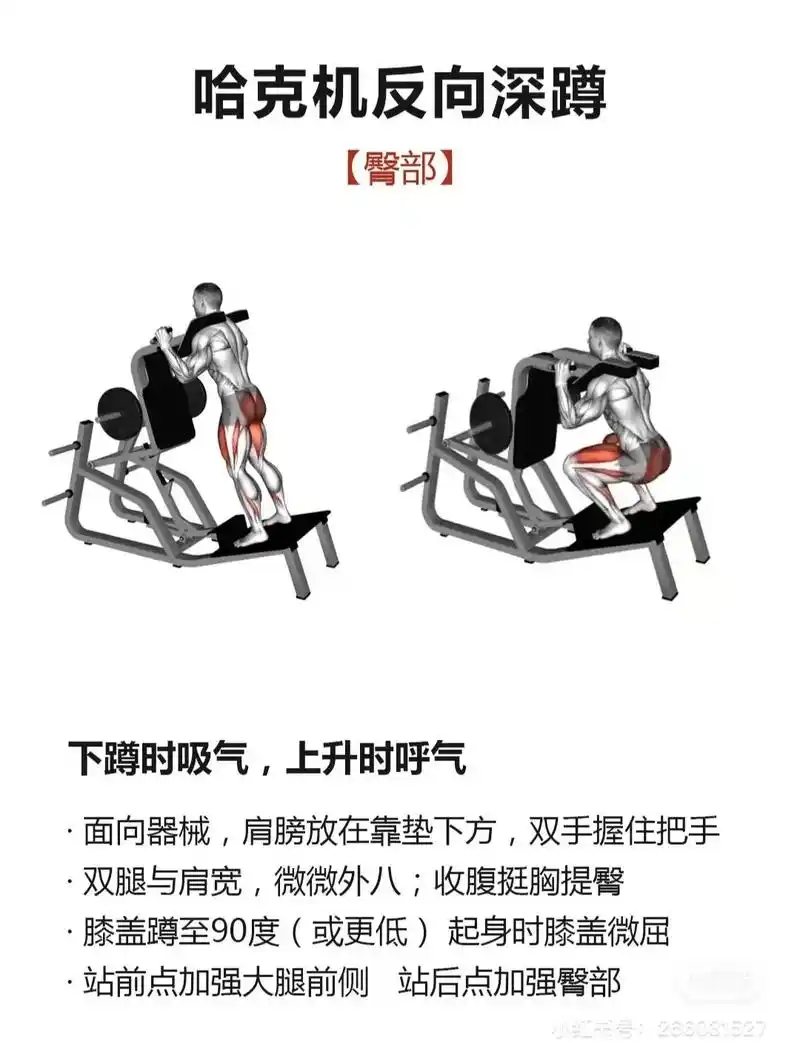 臀部肌力训练图集.#每天坚持锻炼会有不一样的收获 #健身臀部 - 抖音