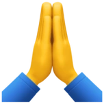 双手合十能随便用吗(双手合十表达感谢)_金纳莱网